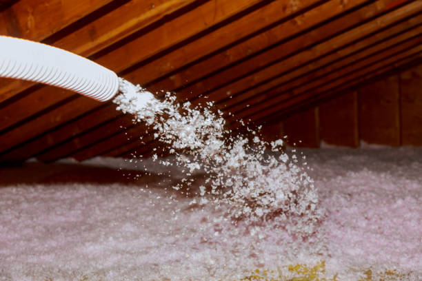 Best Garage Insulation Installation  in Bellevle, IL