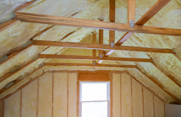 Best Affordable Insulation Services  in Bellevle, IL