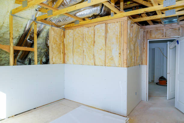 Best Home Insulation Services  in Bellevle, IL
