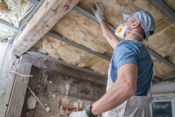 Insulation for New Construction in Belleville, IL