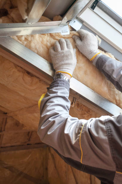 Best Attic Insulation Installation  in Bellevle, IL