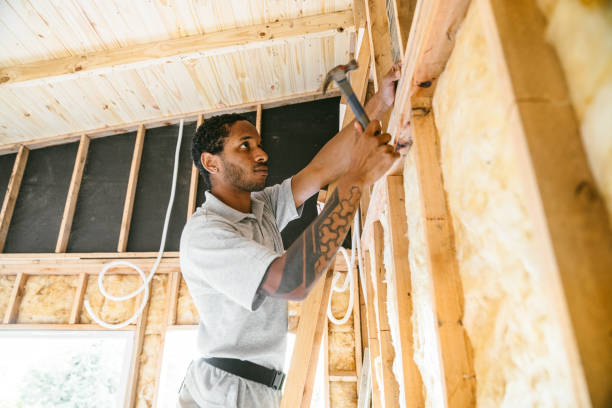 Professional Insulation Contractor in Belleville, IL