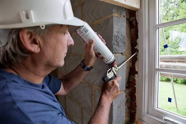Best Blown-in Insulation  in Bellevle, IL