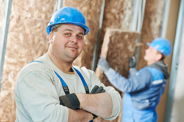Best Insulation Contractor Near Me  in Bellevle, IL