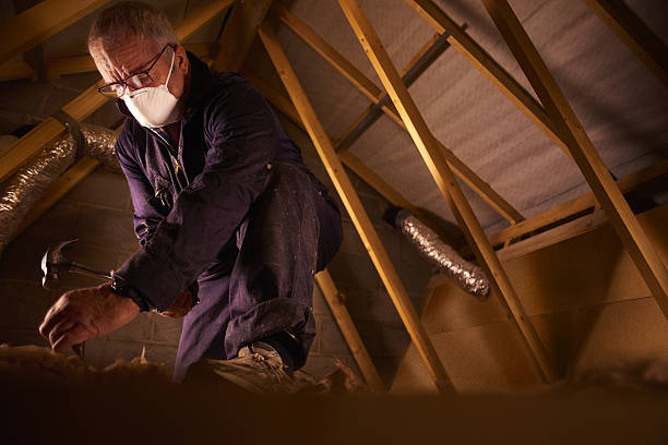 Best Insulation Removal Services  in Bellevle, IL