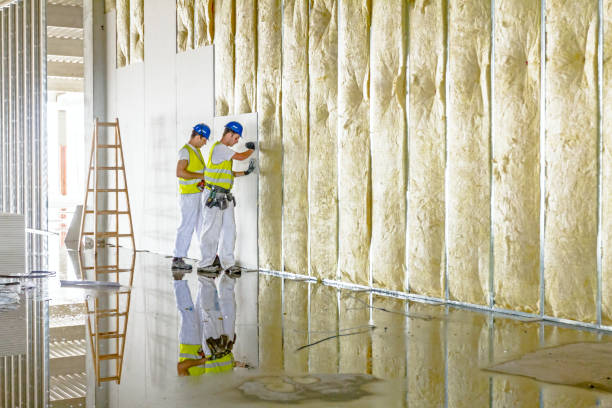 Best Best Insulation Companies  in Bellevle, IL